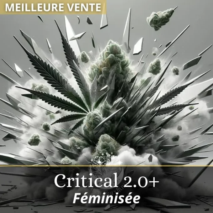 CRITICAL 2.0+