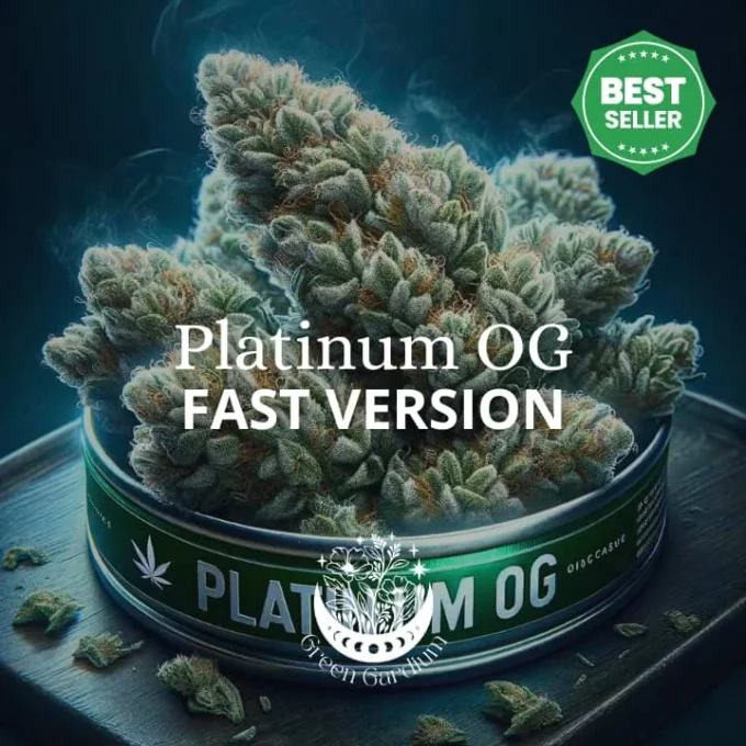 PLATINUM OG