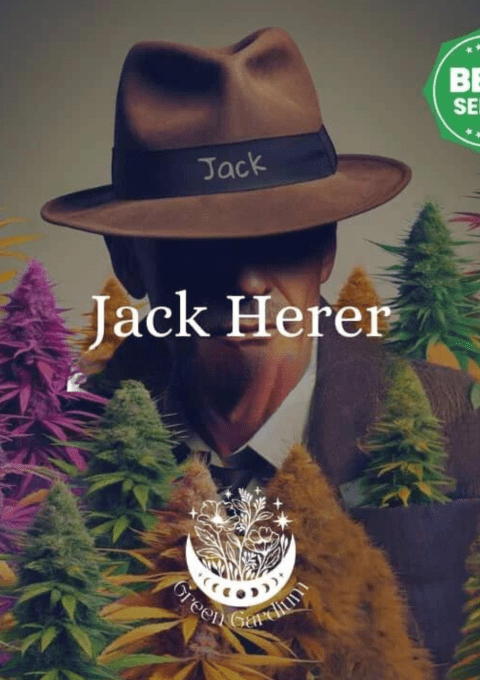 JACK HERER